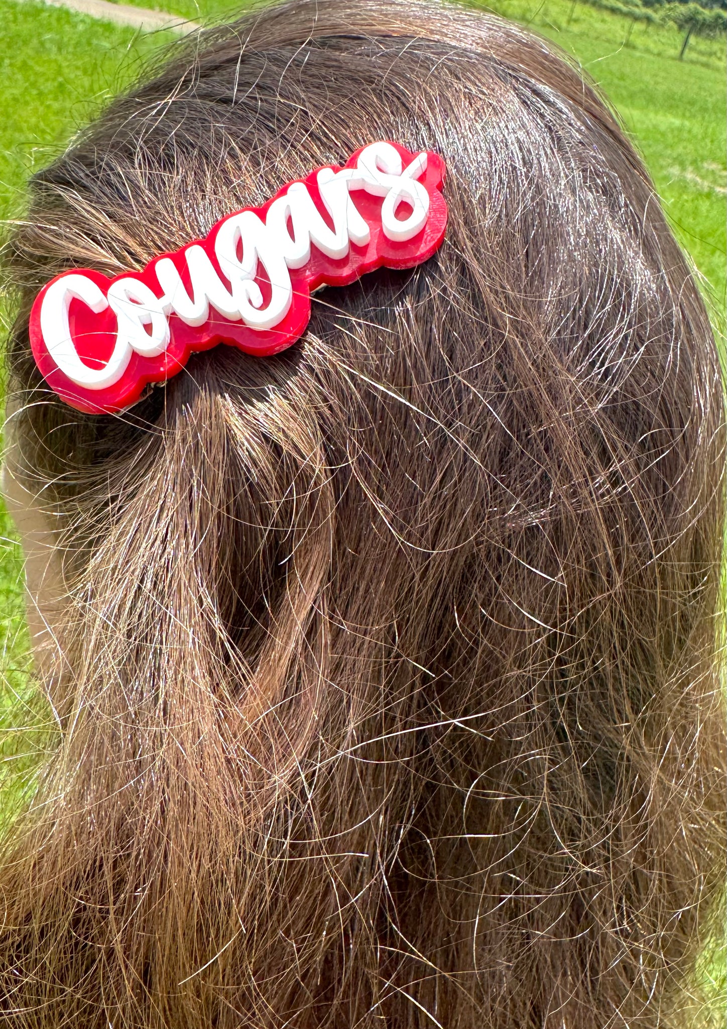 Alligator Word Hair Clip